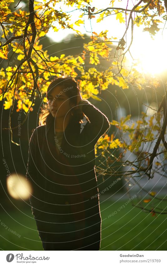 Und jetzt? Mensch feminin Junge Frau Jugendliche Erwachsene 1 Umwelt Natur Herbst Wetter Schönes Wetter Pflanze Baum Park Denken warten authentisch einfach nah