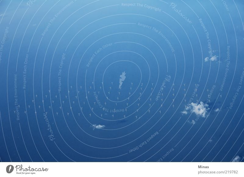 Windpark Erneuerbare Energie Windkraftanlage Natur Luft Wasser Klima Schönes Wetter Meer außergewöhnlich nachhaltig nass blau Verantwortung sparsam Fortschritt
