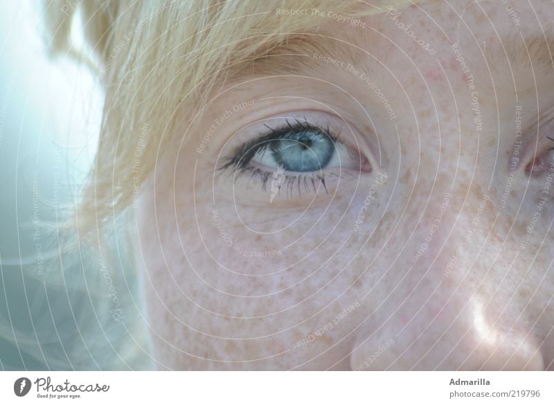 Himmelblau Mensch feminin Junge Frau Jugendliche Haut Kopf Gesicht Auge Nase 1 Schönes Wetter entdecken Blick außergewöhnlich blond Coolness gut hell schön