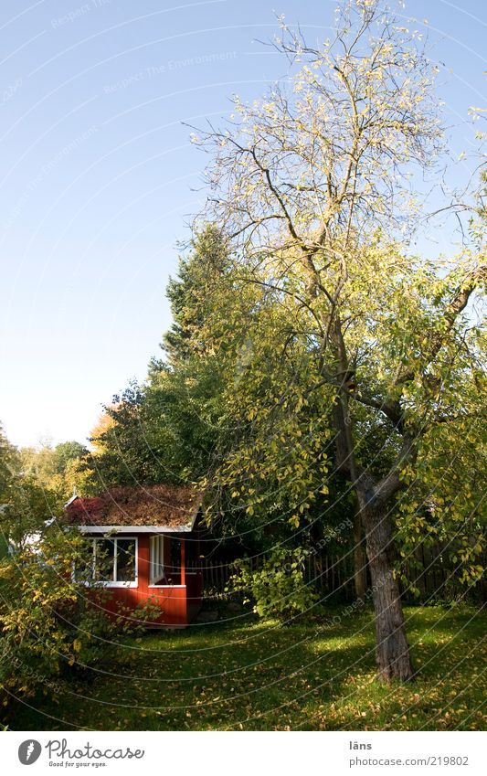 Garten Freizeit & Hobby Kinderspielhaus Umwelt Natur Pflanze Himmel Wolkenloser Himmel Herbst Schönes Wetter Baum Sträucher Nutzpflanze Hütte Erholung grün rot