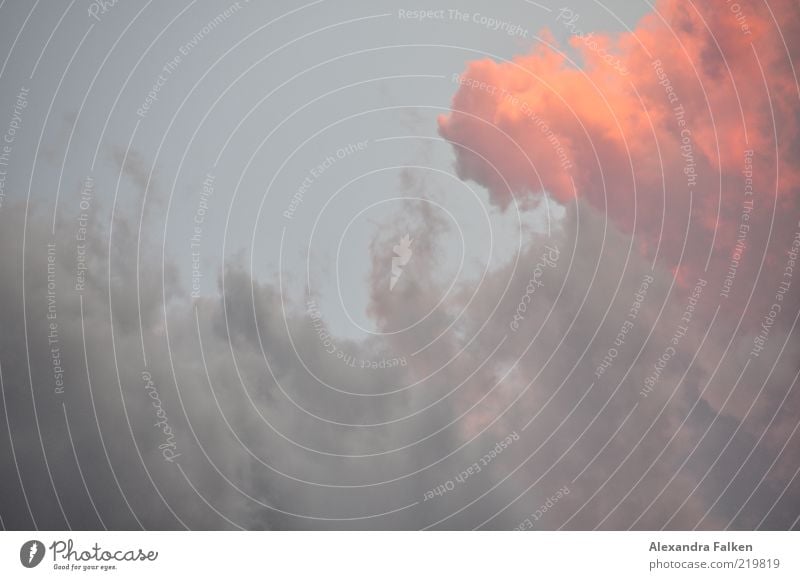 Wolke brennt. Umwelt Himmel nur Himmel Wolken Sonnenaufgang Sonnenuntergang Sonnenlicht Klima ästhetisch schön Fernweh Hölle Ewigkeit Farbfoto Gedeckte Farben