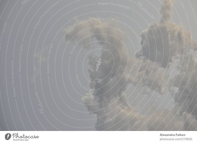 Wolken Umwelt Natur Himmel Klima ästhetisch kalt grau Farbfoto Gedeckte Farben Menschenleer Textfreiraum links Textfreiraum oben Textfreiraum unten Dämmerung