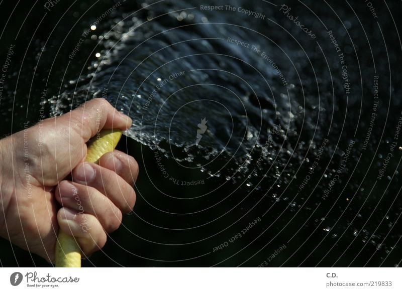 Bewässerung Gartenarbeit Hand 1 Mensch Wasser Sommer gelb Gartenschlauch Farbfoto Außenaufnahme Textfreiraum rechts Tag Sonnenlicht Textfreiraum oben spritzen