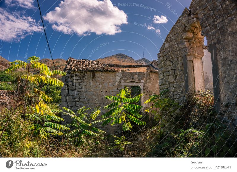 Eingewachsene Ruine in Old Perithia Natur Pflanze Himmel Wolken Sommer Gras Sträucher Wildpflanze Berge u. Gebirge Korfu Dorf Menschenleer Haus Gebäude Mauer