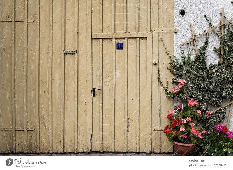 Dorfidylle Lifestyle ruhig Häusliches Leben Blume Efeu Architektur Mauer Wand Tür Schilder & Markierungen ästhetisch einzigartig geheimnisvoll Idylle Nostalgie