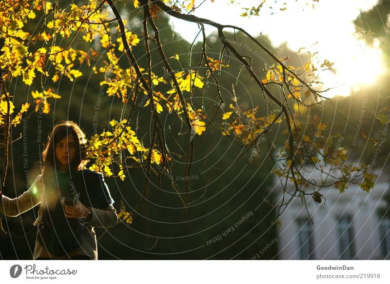 erschöpft II Mensch feminin Junge Frau Jugendliche Erwachsene 1 Umwelt Natur Baum Park Stimmung Ast Herbst frei Müdigkeit Erschöpfung hell spät Farbfoto