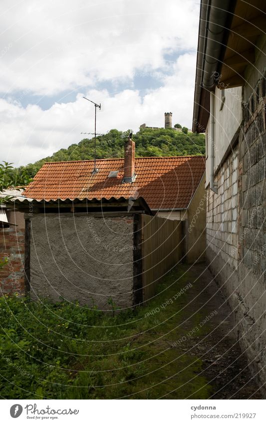 Schleichweg Lifestyle Umwelt Wiese Dorf Haus Ruine Mauer Wand Fassade Wege & Pfade Einsamkeit Idylle Leben Nostalgie ruhig stagnierend Vergänglichkeit Zeit