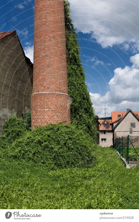 Abseits Lifestyle ruhig Umwelt Natur Himmel Sträucher Garten Wiese Dorf Haus Fabrik Fassade Wege & Pfade Einsamkeit Idylle Leben Nostalgie stagnierend