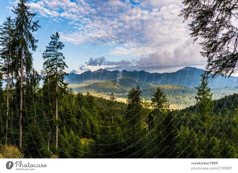 Morgenstimmung Ferien & Urlaub & Reisen Ausflug Freiheit Sommerurlaub Joggen wandern Natur Landschaft Gewitterwolken Schönes Wetter Wald Alpen Erholung Fitness