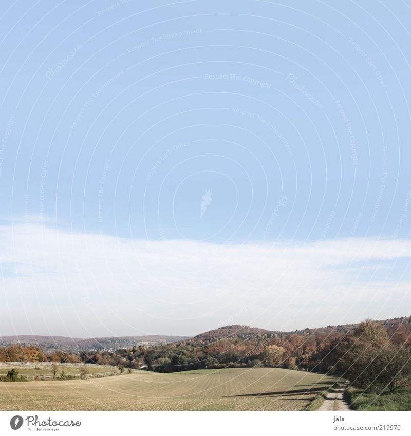 herbstlandschaft Ausflug Natur Landschaft Himmel Herbst Pflanze Baum Wiese Feld Wald Hügel Wege & Pfade blau grün Aussicht Ferne Erholungsgebiet Farbfoto