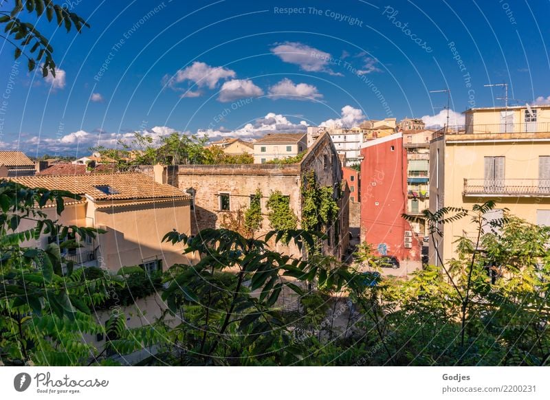 Stadtansichten Kerkira, Korfu Himmel Wolken Gras Sträucher Efeu Kérkira Hauptstadt Altstadt Haus Fassade Blick Wachstum authentisch blau braun gelb grau grün