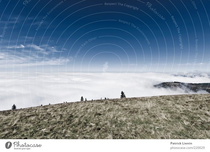 Über den Wolken Umwelt Natur Landschaft Urelemente Luft Himmel Herbst Wetter Schönes Wetter Baum Wiese Hügel Berge u. Gebirge entdecken kalt schön blau Stimmung