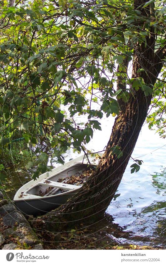 Stilleben Wasserfahrzeug Baum Baumstamm Meer Rastplatz Anlegestelle ruhig Romantik Kahn Holzboot alt festgebunden Küste Böschung Natur Ruderboot