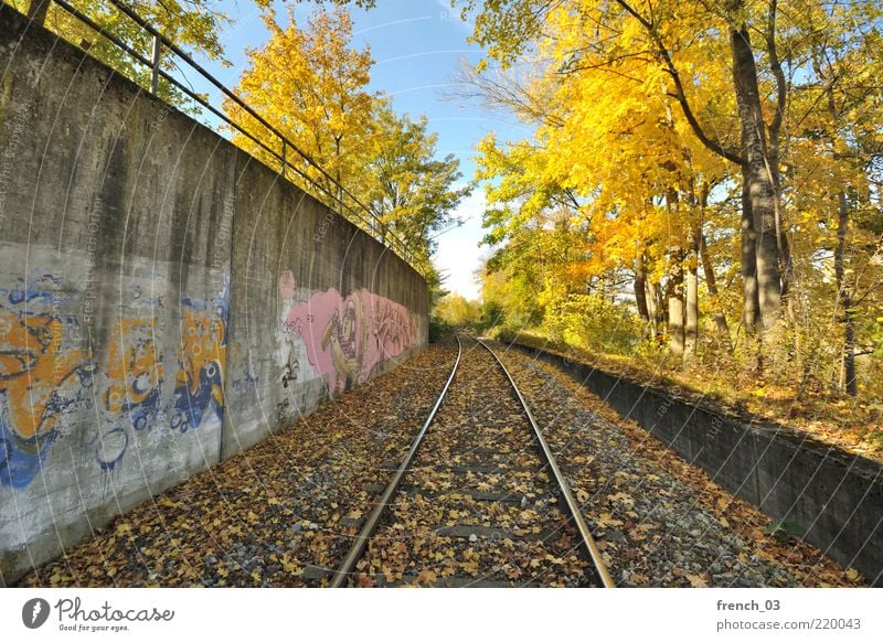 der Winter kommt! Umwelt Natur Himmel Herbst Schönes Wetter Baum Sträucher Gleise dehydrieren blau gelb Stimmung Farbe Ahorn Blatt Bayern kalt herbstlich