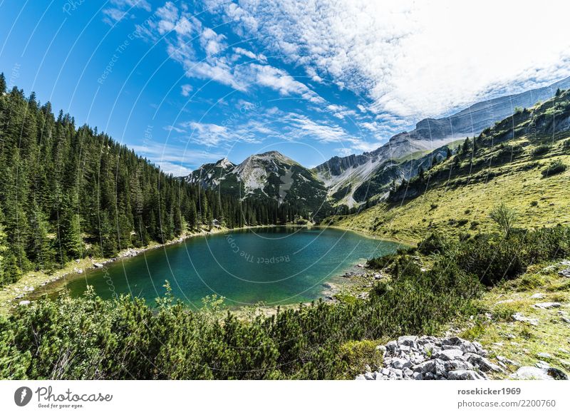 Bergstimmung Schwimmen & Baden Sommer Sommerurlaub Berge u. Gebirge wandern Wald Alpen See Wege & Pfade atmen Erholung genießen natürlich Gefühle Stimmung