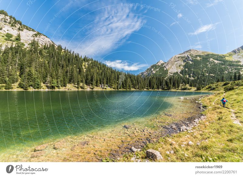 Alpensee Ferien & Urlaub & Reisen Ausflug Abenteuer Freiheit Sommerurlaub Berge u. Gebirge wandern Schwimmen & Baden feminin 1 Mensch 30-45 Jahre Erwachsene