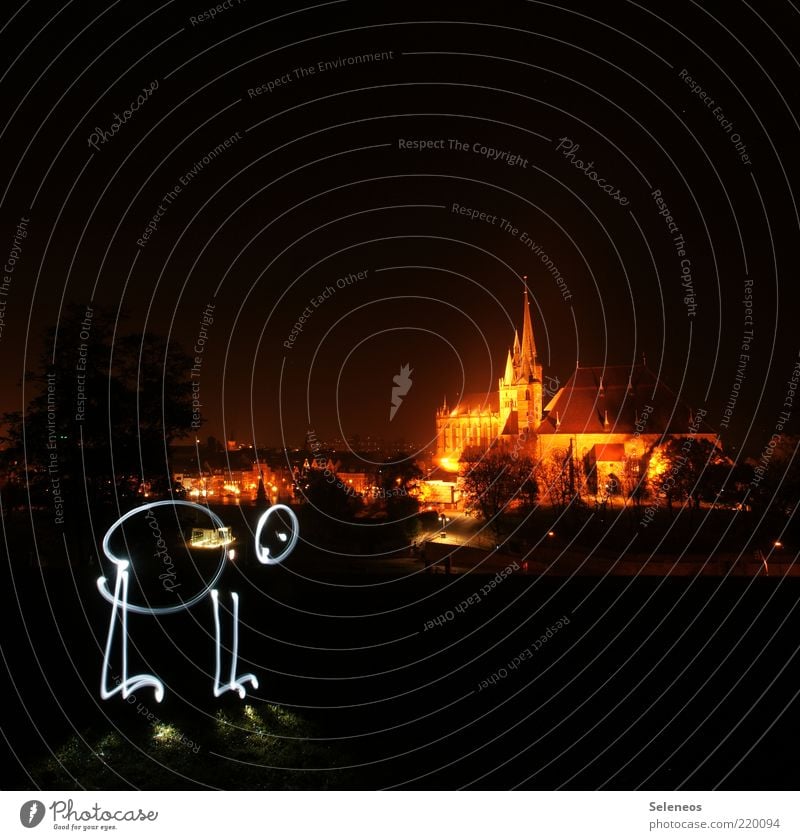 Sightseeing Erfurt Stadt Altstadt Skyline Kirche Dom Sehenswürdigkeit glänzend leuchten Lichtschein Farbfoto Außenaufnahme Textfreiraum oben Dämmerung Nacht