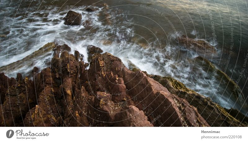 Craggy Sa Marina. Meer Natur Landschaft Wasser Wind Sturm Felsen Wellen Stein Bewegung hören dunkel braun grau grün Romantik bizarr Leben Brandung Küste Riss