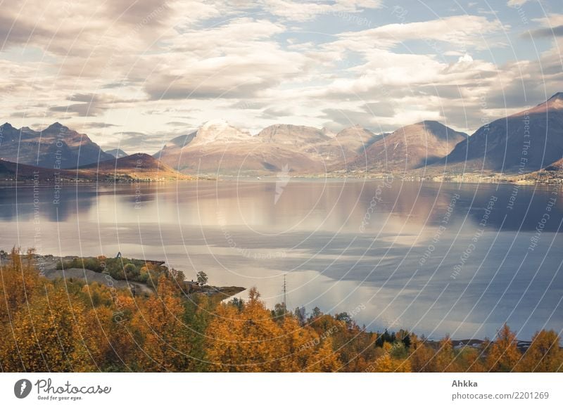 Herbststimmung, Skandinavien, Lofoten, Totale harmonisch ruhig Abenteuer Landschaft Wolken Berge u. Gebirge Fjord Ferien & Urlaub & Reisen Horizont Idylle rein