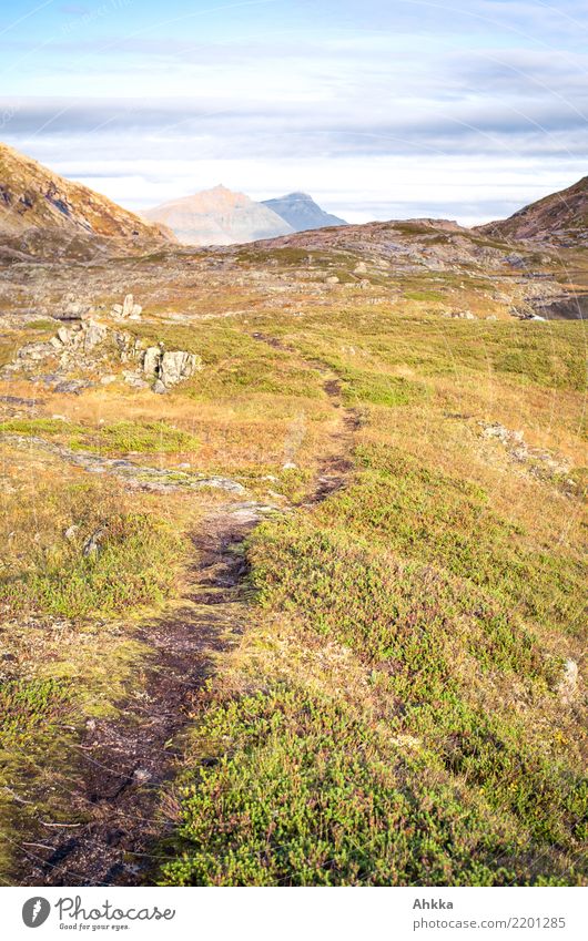 Wanderpfad, Norwegen, Lofoten, Fjäll, Berge Ferien & Urlaub & Reisen Abenteuer Berge u. Gebirge wandern Natur Landschaft Wege & Pfade Beginn Bewegung