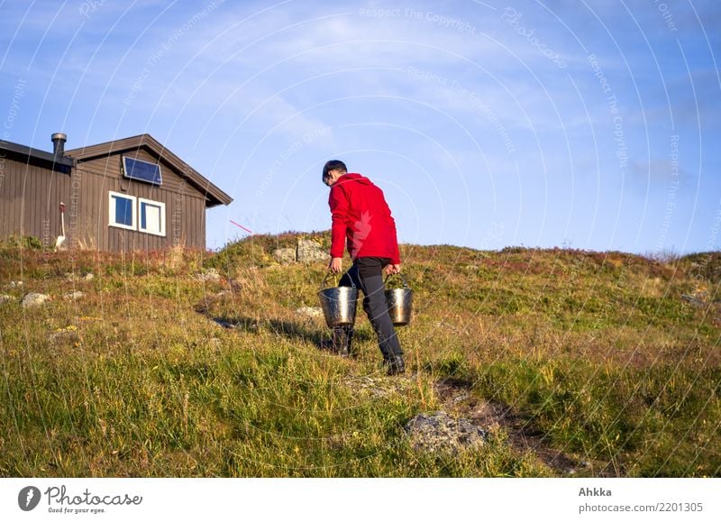 Junger Mann trägt Wassereimer zu einer Hütte, Norwegen Wohlgefühl Jugendliche Natur Himmel Schönes Wetter Hügel Ressource kaufen tragen einfach Verlässlichkeit