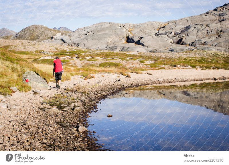 Wanderer in karger Natur auf den Lofoten Ferien & Urlaub & Reisen Ausflug Abenteuer Berge u. Gebirge wandern Junger Mann Jugendliche Landschaft Urelemente Klima