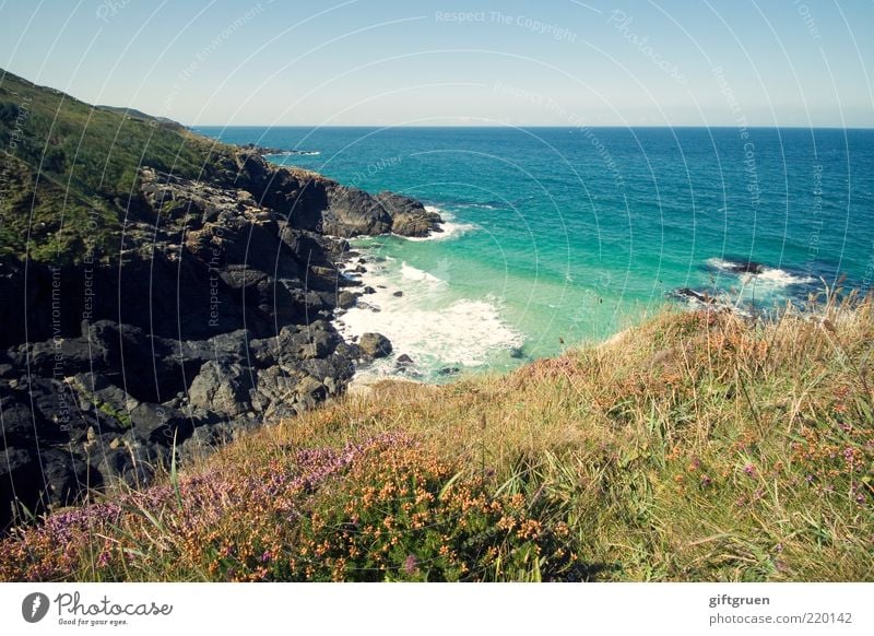 aussichten Umwelt Natur Landschaft Pflanze Urelemente Erde Wasser Himmel Wolkenloser Himmel Klima Wetter Schönes Wetter Sträucher Wiese Hügel Felsen Wellen