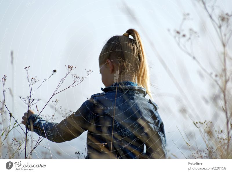 spielen in Freiheit Mensch feminin Kind Mädchen Kindheit Haut Kopf Haare & Frisuren Gesicht Auge Ohr Rücken Arme Hand Finger Umwelt Natur Pflanze Himmel