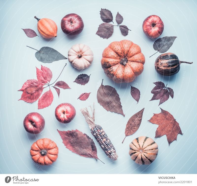 Herbst Composing mit Kürbis, Äpfel und buntes Laub Stil Design Dekoration & Verzierung Erntedankfest Halloween Natur Pflanze Blatt retro Stillleben mehrfarbig