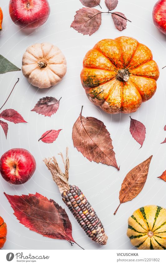 Stillleben mit Kürbisse, Äpfel und Herbstlaub Design Erntedankfest Halloween Natur Pflanze Blatt Dekoration & Verzierung Ornament Composing Apfel Maiskolben