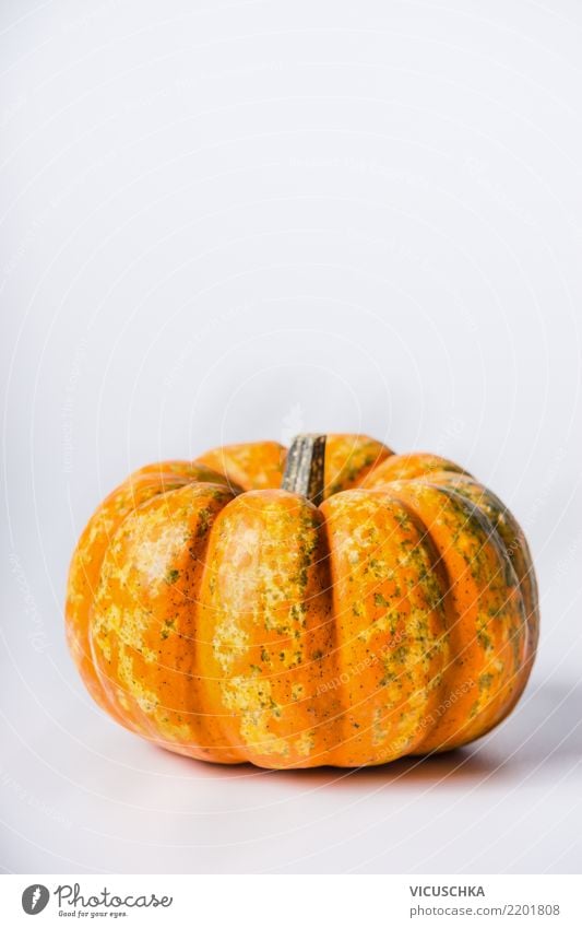 Kürbis Lebensmittel Gemüse Ernährung Bioprodukte Vegetarische Ernährung Diät Stil Design Gesunde Ernährung Erntedankfest Halloween Natur Hintergrundbild