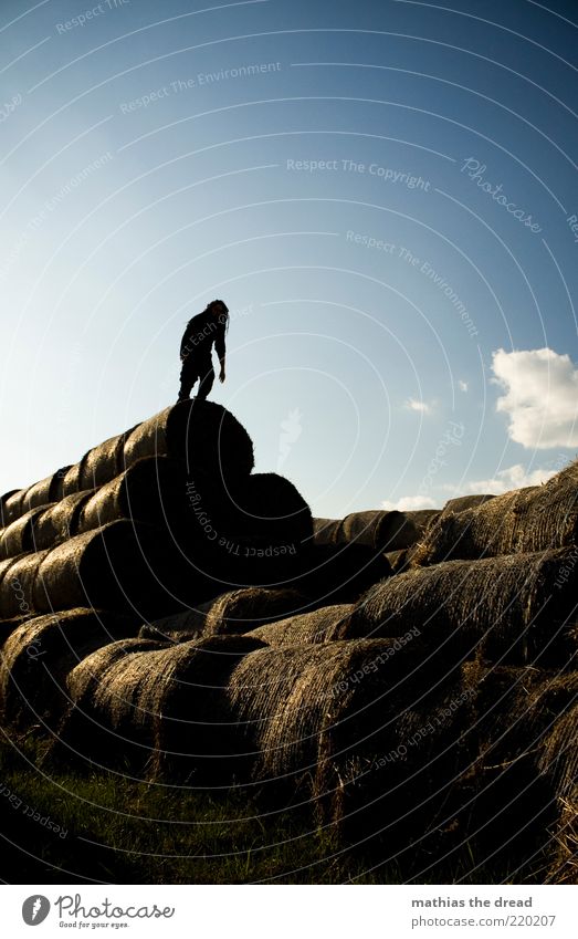 AUFERSTANDEN Freizeit & Hobby Mensch maskulin 1 Umwelt Natur Himmel Wolken Sommer Schönes Wetter Pflanze Gras Feld entdecken Strohballen Stapel Pyramide rund