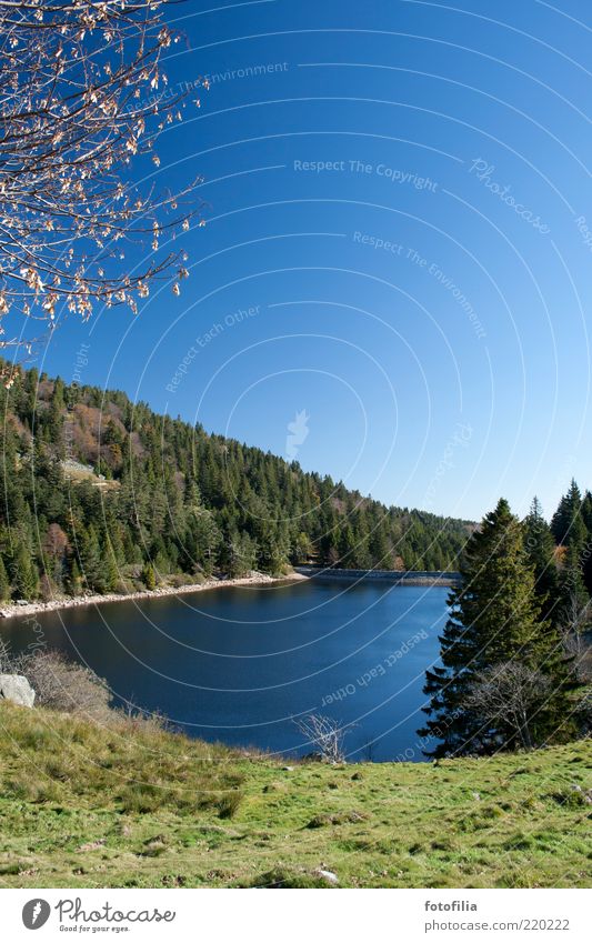 der herbst ist blau und grün Ferien & Urlaub & Reisen Ausflug Freiheit Expedition Berge u. Gebirge Umwelt Natur Landschaft Wasser Wolkenloser Himmel