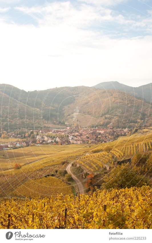 **10** nachträglich für lachfalte Ferien & Urlaub & Reisen Ausflug Ferne Berge u. Gebirge Umwelt Natur Landschaft Himmel Wolken Herbst Wein Weinbau Hügel