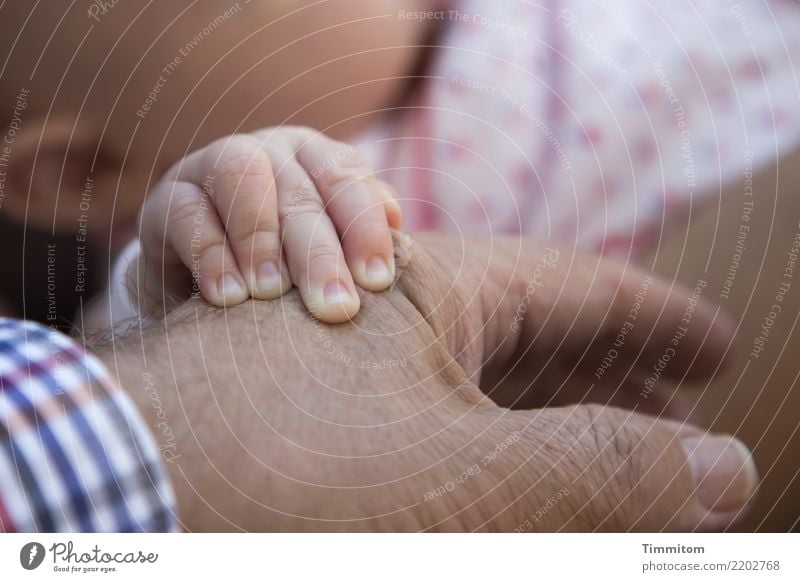 Junge Hand auf alter Hand. Baby Männlicher Senior Mann Finger 2 Mensch berühren Gefühle Lebensfreude achtsam festhalten Haut Hautfalten Bekleidung Zuneigung