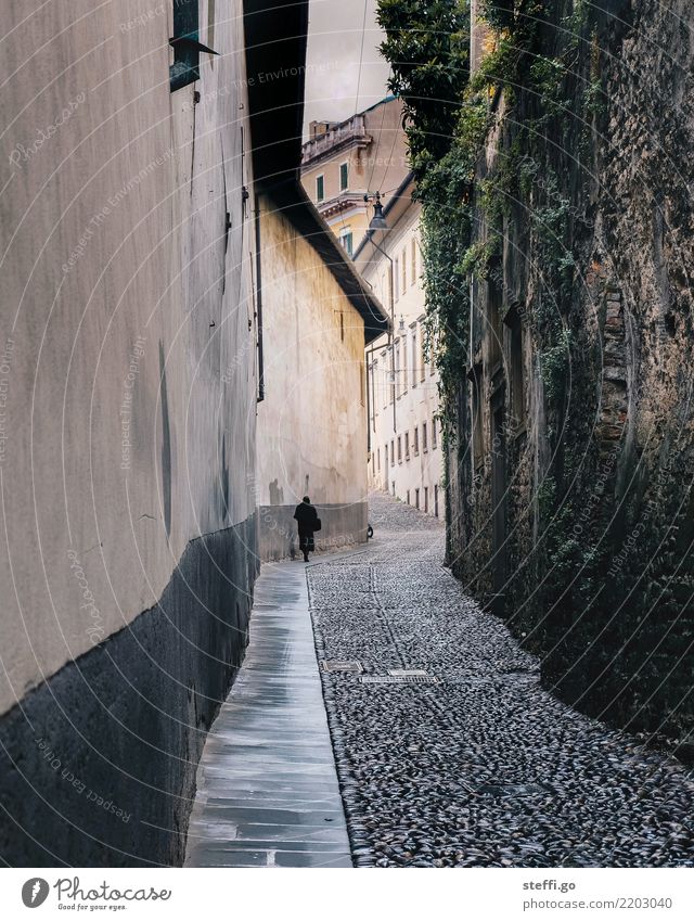 Schattengestalt Mensch feminin Frau Erwachsene Weiblicher Senior Mutter Großmutter Leben 1 Dorf Kleinstadt Stadt Altstadt Menschenleer Bauwerk Architektur