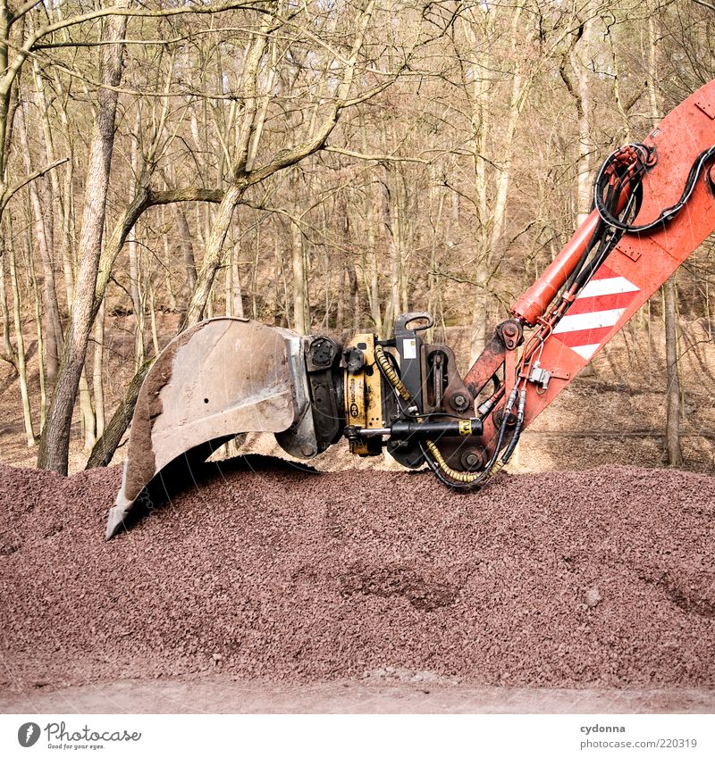 Ruhephase Baustelle Feierabend Umwelt Natur Baum Wald Kraft ruhig stagnierend Bagger Baggerschaufel Kies Technik & Technologie Pause Farbfoto Außenaufnahme