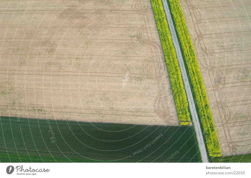 Landschaftsmalerei Feld Wiese Kunst geschmackvoll grün braun Natur Ernte rasenmähen Garten sähen