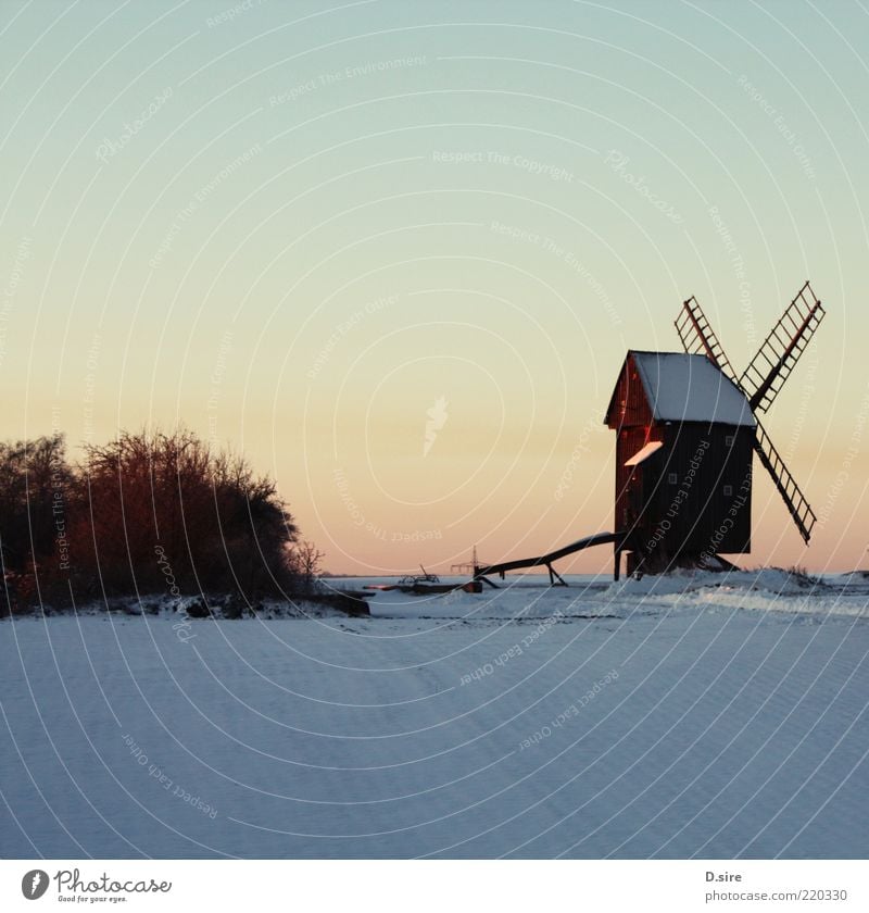 Bock-Windmühle im Schnee Natur Landschaft Luft Wolkenloser Himmel Winter Schönes Wetter Dorf Bockwindmühle Sehenswürdigkeit alt authentisch eckig braun gelb