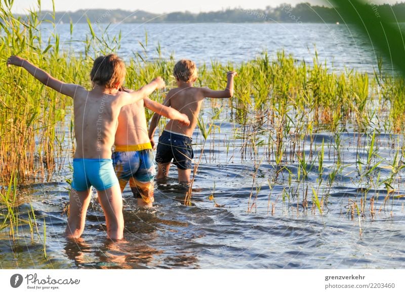 Seewartung Schwimmen & Baden Sommer Mensch Junge Kindheit 3 Kindergruppe 8-13 Jahre Abenteuer Schilfrohr Badesee Plauer Werder stak­sen warten