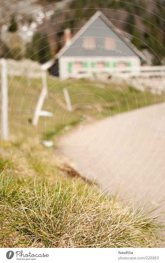 auf der alm da gibts... Umwelt Natur Landschaft Sommer Herbst Pflanze Gras Hügel Berge u. Gebirge Alm Haus Berghütte Zaun Straße Wege & Pfade entdecken Erholung