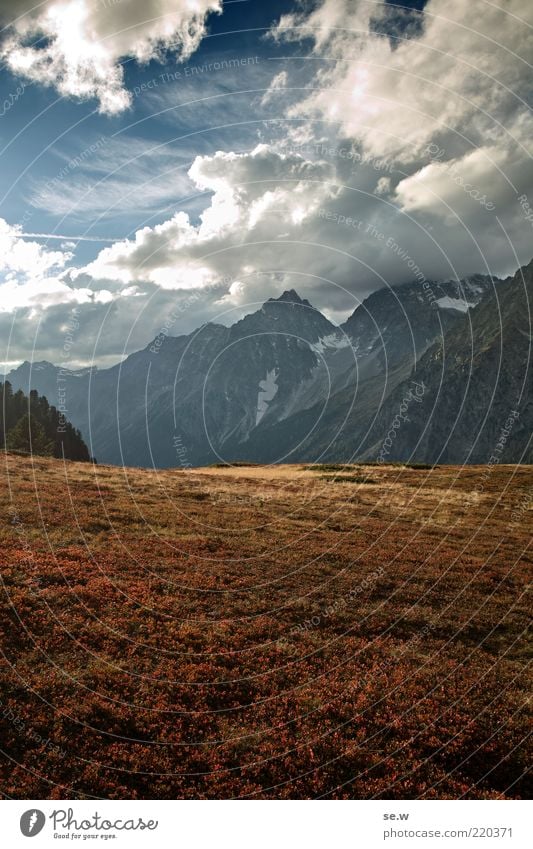 Das Ende eines Sommers Wolken Herbst Schönes Wetter Gras Heidekrautgewächse Hügel Alpen Berge u. Gebirge Antholzer Tal Südtirol Staller Sattel Gipfel Alm