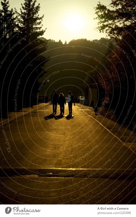 walking on sunshine 3 Mensch Dorf Fußgänger Straße Freundschaft Zufriedenheit Zusammenhalt Spaziergang Silhouette Wohnsiedlung Wohngebiet gold schwarz Tanne