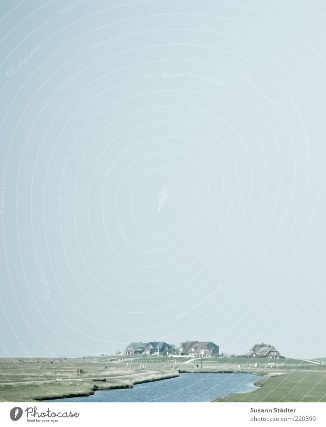 stilles Örtchen Landschaft Schönes Wetter Wiese Flussufer Nordsee Ferne Halligen Hooge Hallig Hooge Nordseeinsel Warft Insel Einsamkeit Menschenleer ruhig