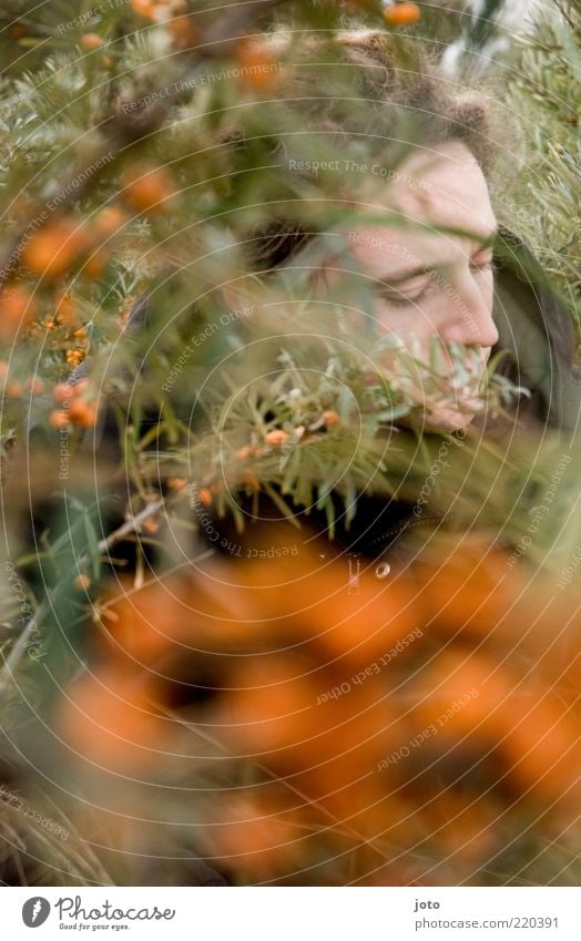 Versteck Frucht maskulin Junger Mann Jugendliche Erwachsene Umwelt Natur Pflanze Sträucher Sanddorn hocken träumen Neugier Gefühle Sicherheit Schutz ruhig Scham