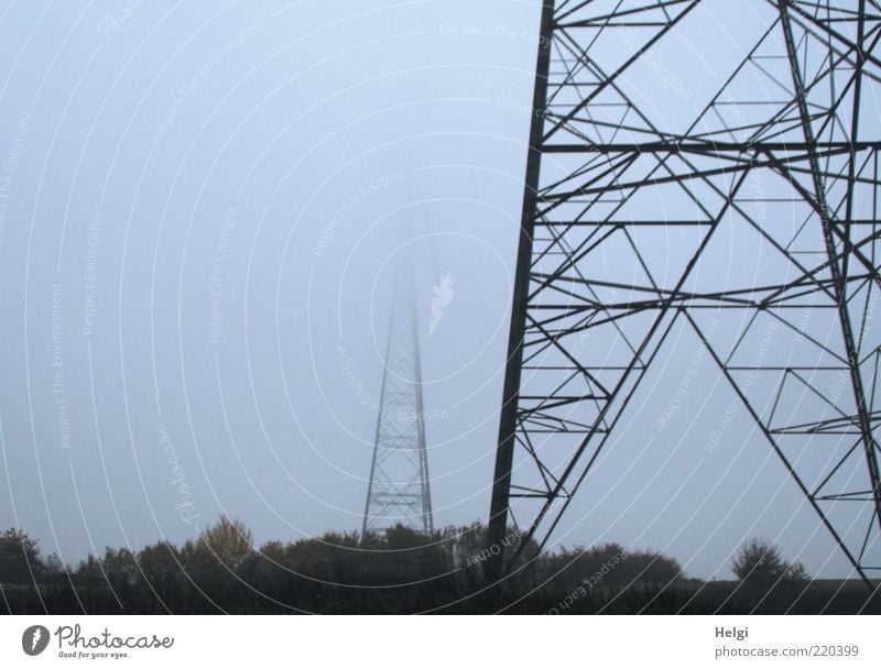 Energieriesen im Nebel Technik & Technologie Energiewirtschaft Umwelt Landschaft Pflanze Himmel Herbst Wetter Baum Metall Stahl dunkel groß grau schwarz