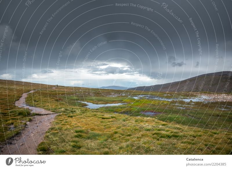 Nach dem Regen, Wanderweg durchs Hochmoor wandern androgyn 1 Mensch Landschaft Pflanze Gewitterwolken Sommer schlechtes Wetter Gras Hügel Berge u. Gebirge Teich