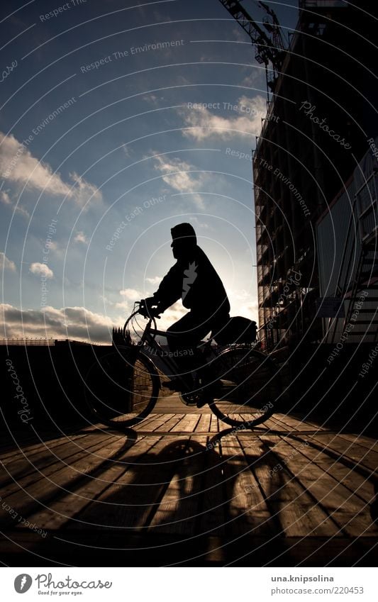 wenn die sonne wieder scheint Fahrradfahren Bewegung Sonnenuntergang Holz Steg unterwegs Gegenlicht Sonnenlicht Tag Farbfoto Außenaufnahme Dämmerung Schatten