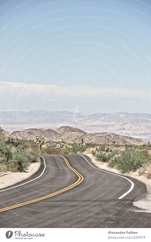 Road To Nowhere. Ferien & Urlaub & Reisen Ausflug Ferne Freiheit Sommerurlaub Umwelt Natur Landschaft Pflanze Himmel Horizont Schönes Wetter Grünpflanze Hügel