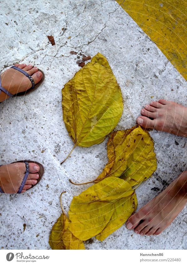 wo willst du hin? Mensch maskulin feminin Leben Fuß 2 Natur Herbst Pflanze Blatt Wege & Pfade Flipflops Stein Beton Umwelt gelb weiß Farbfoto Außenaufnahme